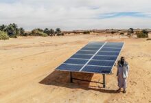 INTERVIEW: Sustainable energy brings 'hope' in the fight against desertification and land loss
