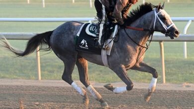 Belmont Stakes builds on Smart Strike's Sterling legacy