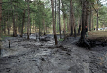 'Extremely dangerous' flooding threatens New Mexico after wildfire kills 2 people