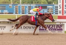 Lone Warrior is Stallion Lone Sailor's first win