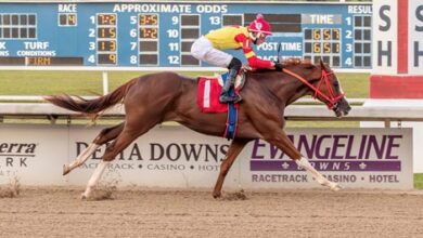 Lone Warrior is Stallion Lone Sailor's first win