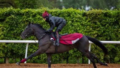 O'Brien is confident about a big performance from Auguste Rodin