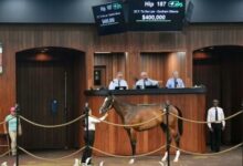 $400K Tiz the Law Filly tops first session at OBS June