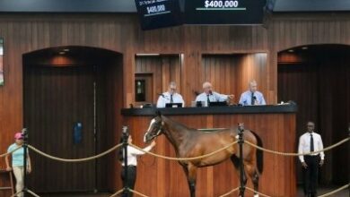 $400K Tiz the Law Filly tops first session at OBS June
