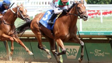 Vahva delivered again in the Chicago Stakes