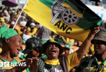 The ANC's dilemma vis-à-vis the coalition government