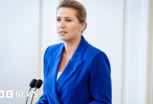 The Danish Prime Minister was beaten by a man on a Copenhagen street, her office said