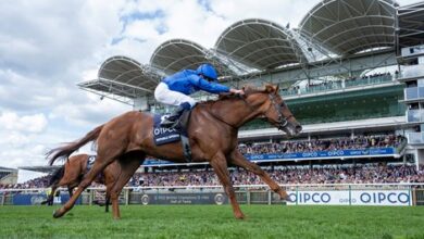 A trio of Guineas winners clash at St James's Palace