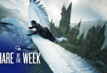 Share of the Week: Hogwarts Legacy – Photo Mode
