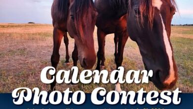 TAA announces annual calendar photo contest
