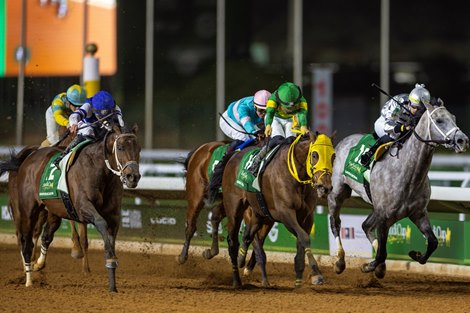 Saudi Cup Winner Senor Buscador Returns to Breezing