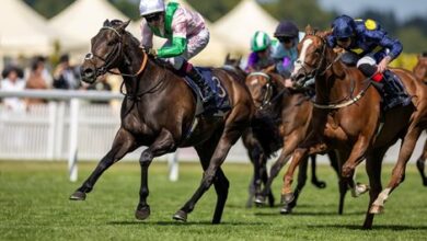 Khaadem continuously participated in the QE II Jubilee Stakes