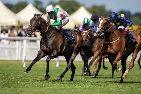 Khaadem continuously participated in the QE II Jubilee Stakes