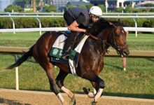 The Road: Sierra Leone's Numbers to the Land Belmont Stakes
