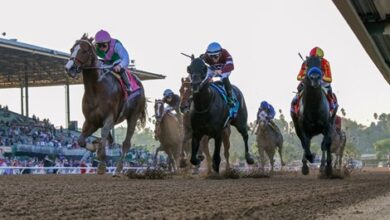 Ten facts about the 2024 Breeders Cup Challenge Series