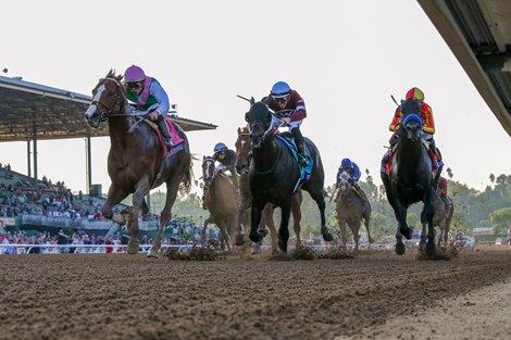 Ten facts about the 2024 Breeders Cup Challenge Series