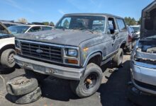 Junkyard gem: 1983 Ford Bronco