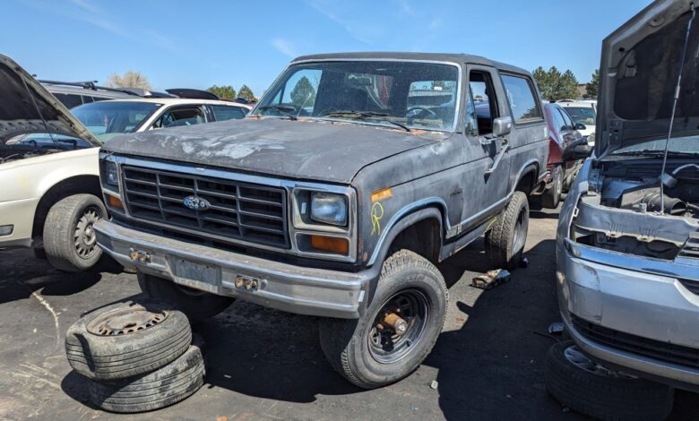 Junkyard gem: 1983 Ford Bronco