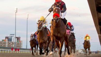 Babbo, Witwatersrand Title Woodbine 3YO Competition