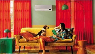 Best air conditioners to buy in 2024 from top 5 air conditioner brands in India- Lloyd, Blue Star, Voltas etc.