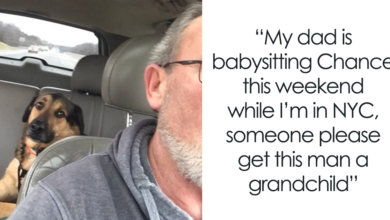 The woman left her dog with her dad and received the “best text” from him of the day
