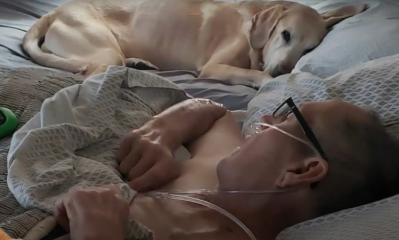 The touching story of a veteran and his loyal dog who passed away just a few hours apart