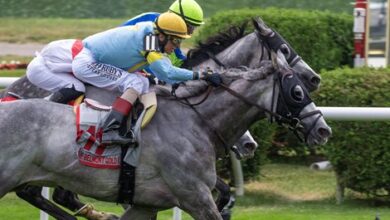 Gray witch attacks 'gold' at Saratoga