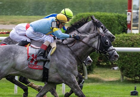 Gray witch attacks 'gold' at Saratoga