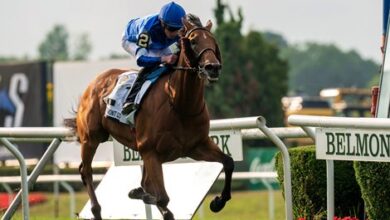 Siskany is favored to repeat in the Belmont Gold Cup