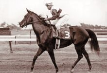 The Mellon, Ruffian exhibition opens July 11 at the Hall of Fame