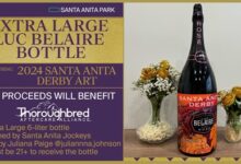 Santa Anita Park Rosé auction to benefit aftercare