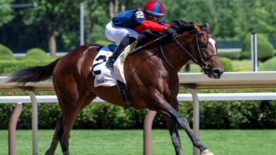 Drake's passage wins commentators, NY-Bred Day stars