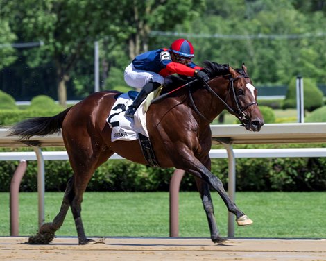 Drake's passage wins commentators, NY-Bred Day stars