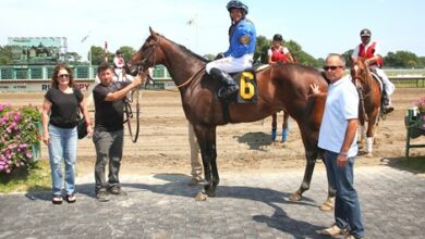 Longtime trainer O'Connor retires - BloodHorse