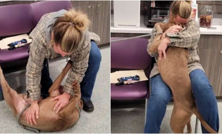 The shelter dog 'whipped' around when the woman called him by his real name