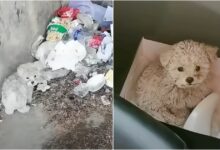 The man found the dirty puppy chewing on the trash and took him to get a makeover