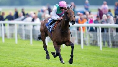 Bluestocking returns to the Curragh for the Pretty Polly test