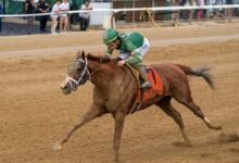 Crupi's rally to win the first suburban grade stakes