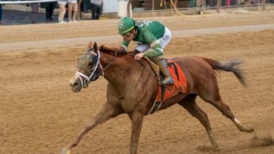 Crupi's rally to win the first suburban grade stakes