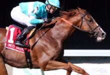 2022 United Nations winner Adhamo regroups in the Monmouth Stakes