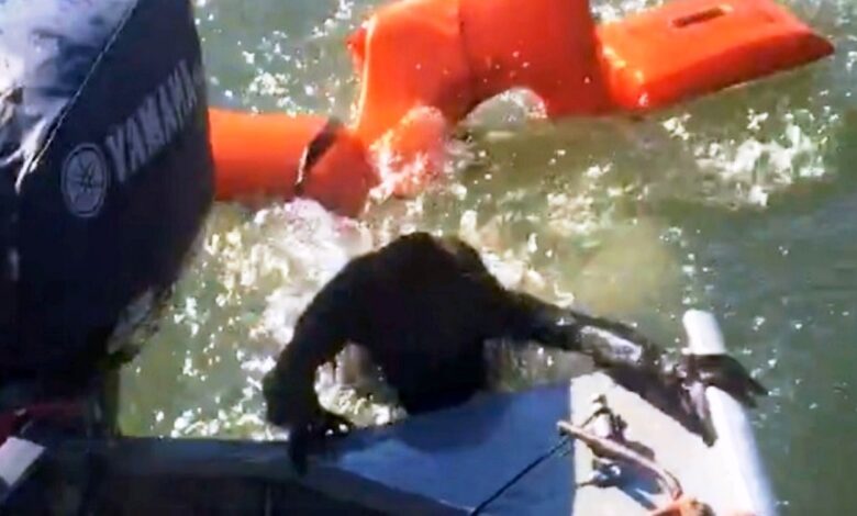 Fisherman threw life jacket to save 'drowning' dog but it wasn't even a dog