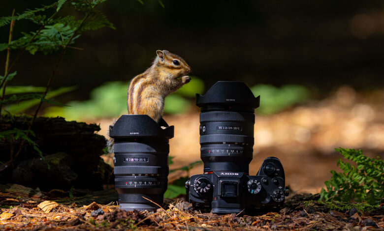My Review of the Sony FE 16-25mm and FE 24-50mm f/2.8 G