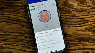 How New York's new digital driver's license works: TSA, security features, more