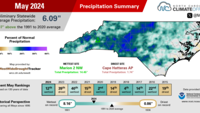 May 2024 precipitation summary infographic, highlighting average monthly temperatures, deviations from normal, and comparisons with previous and recent years