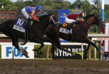 Dornoch wins upset at Belmont Stakes : NPR