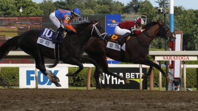 Dornoch wins upset at Belmont Stakes : NPR