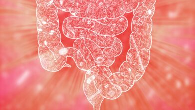 The gut microbiome is linked to how we handle stress in new research: Photo