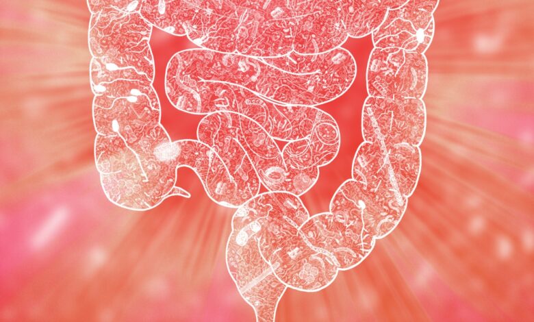 The gut microbiome is linked to how we handle stress in new research: Photo