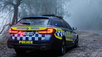 Victoria Police have recovered more than 1000 stolen vehicles this year
