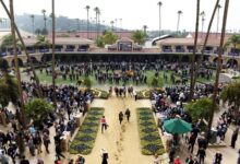 It's Time for Del Mar to Deploy a Quick Change Artist